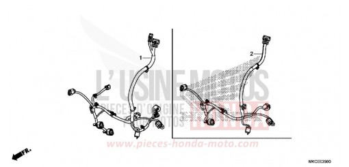 CORDON AUXILIAIRE GL1800K de 2019